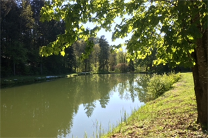 Mautbrücker Teich